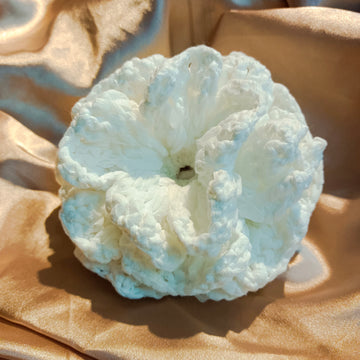 Chanel Woven White Camellia Brooch